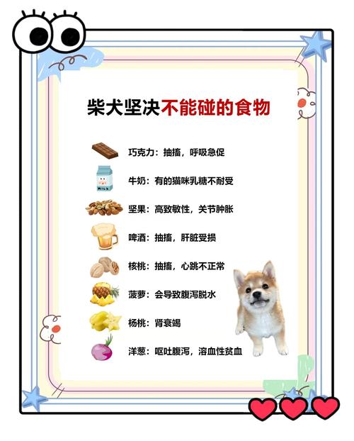 柴犬吃_5_食物,可以_解_毛!