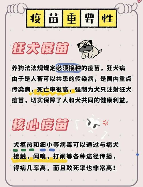 狗狗咳嗽注射什么好处