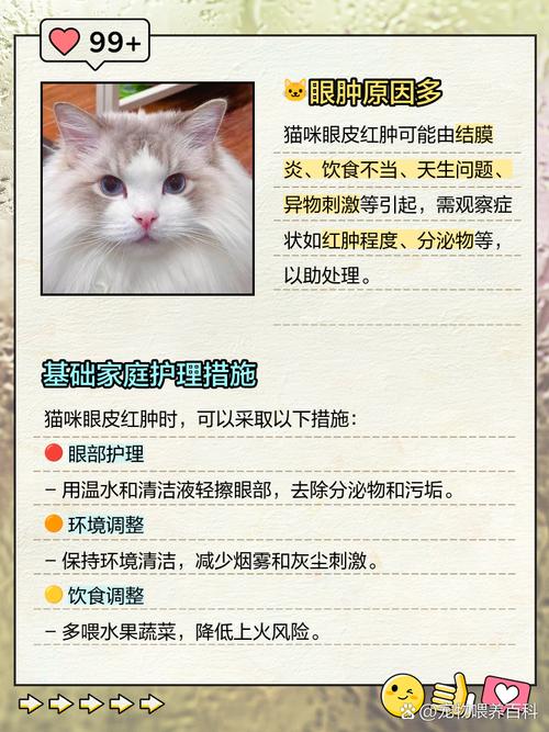 猫咪眼皮红肿掉毛的原因及处理方法