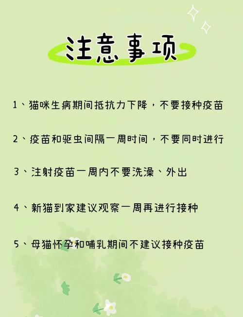 猫咪几个月开始驱虫?该怎么驱虫?