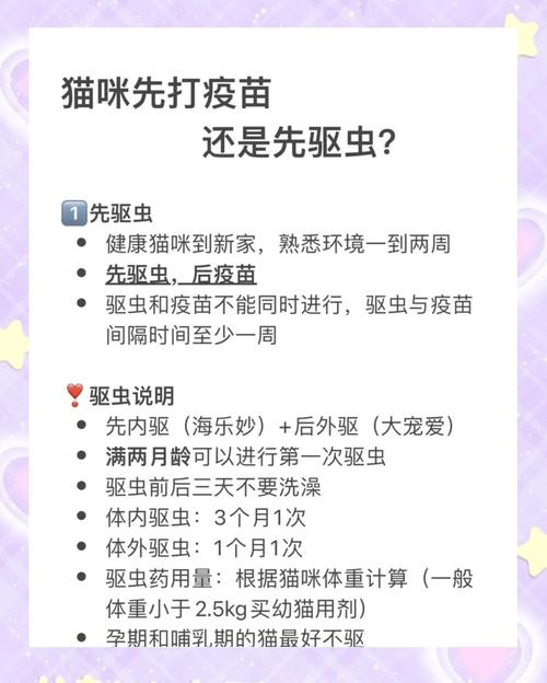 猫咪驱虫科普,铲屎官必看!