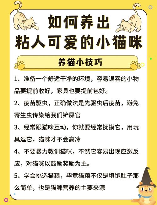 猫多大可以驱虫