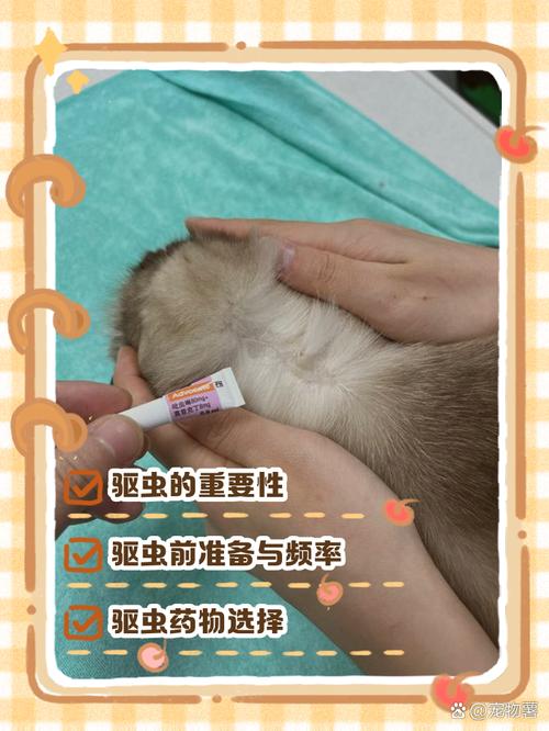 40天的小猫要驱虫吗