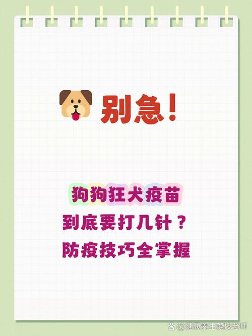 狗狗育苗怎么打?
