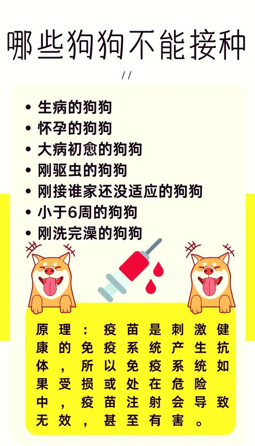 小狗狂犬疫苗要打几针