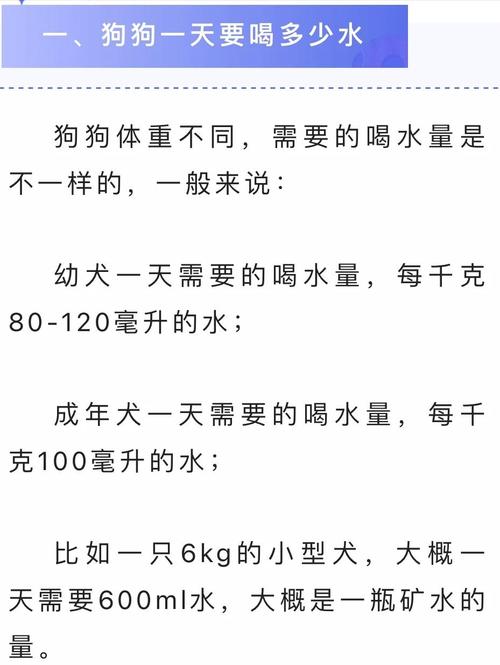 宠物狗喝什么水比较好