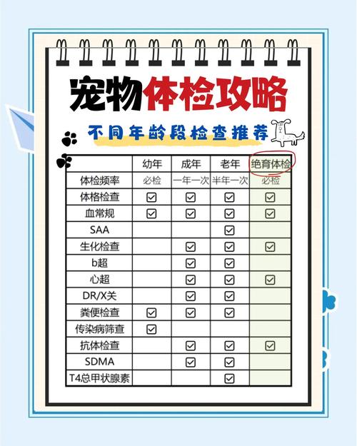 金牛区狗一个全身体检需要多少钱