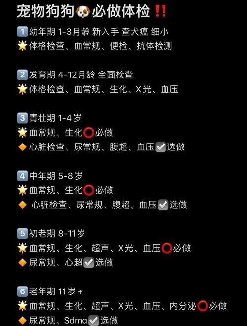 狗狗镜检是检查什么