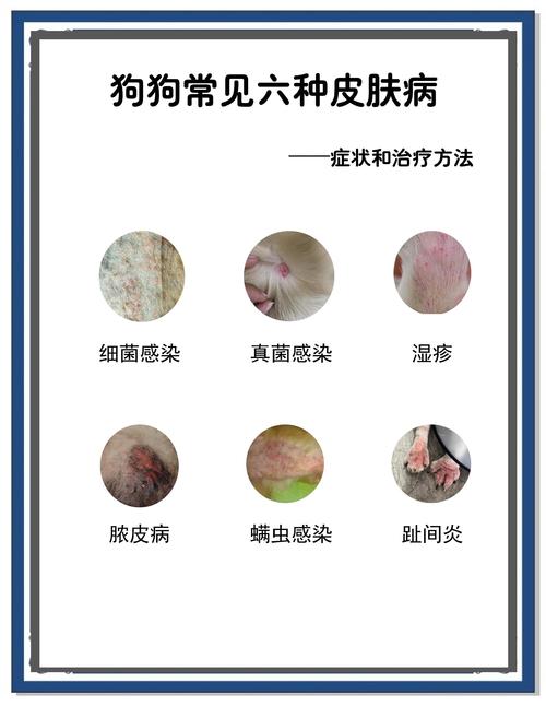 狗狗有皮肤病不去治疗会自己好吗?