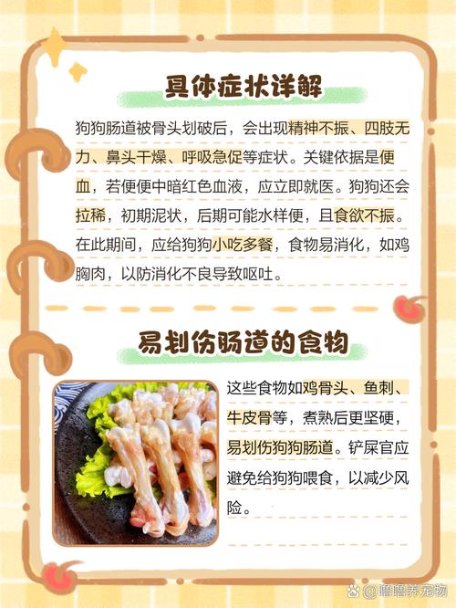 狗狗吃骨头会划伤肠道吗?有什么表现?