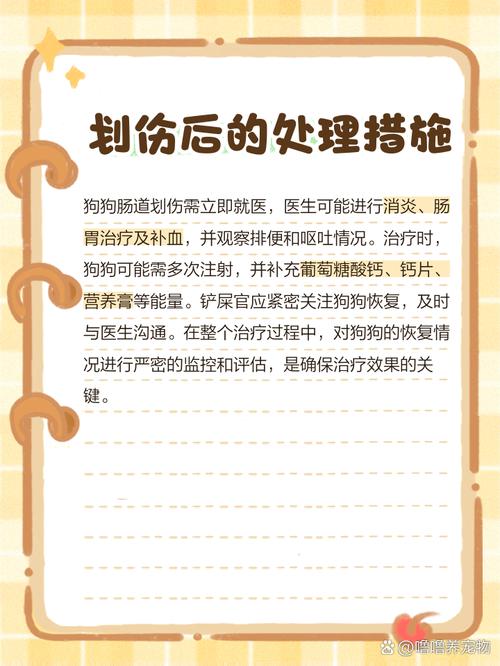 小狗吃骨头划伤肠胃多久会出现症状
