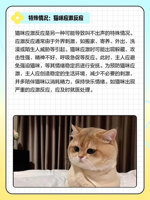小猫叫不出来声音怎么回事
