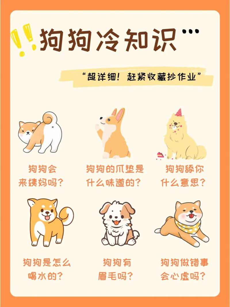 怎么判断狗狗冷不冷
