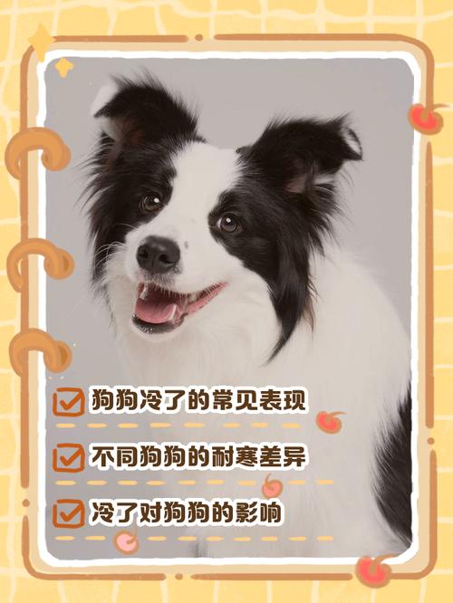 怎样判断狗狗睡觉冷不冷