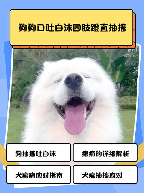 狗狗伸懒腰蹬后腿怎么回事