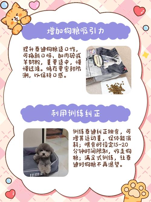 我家9个月的泰迪不吃狗粮,饿了几天还是不吃,谁有高招啊?