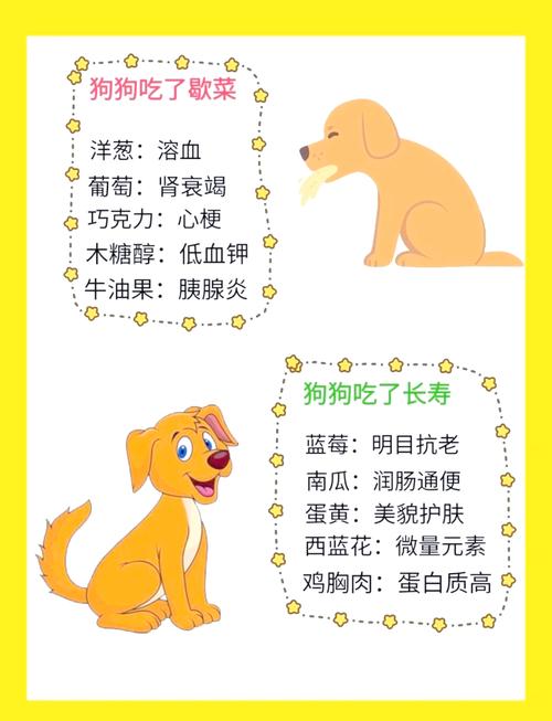 狗狗吃生菜好处和坏处