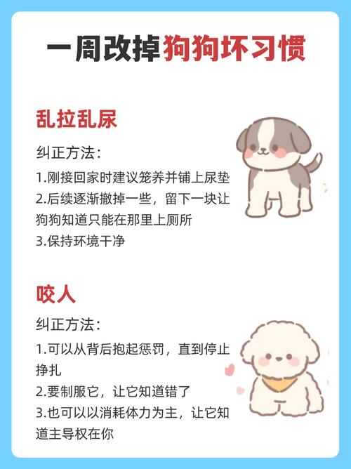 狗狗一直蹲着尿不出,什么原因呢?