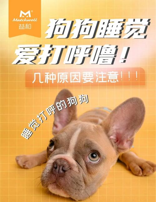 狗狗呼吸像打呼噜一样是怎么回事?
