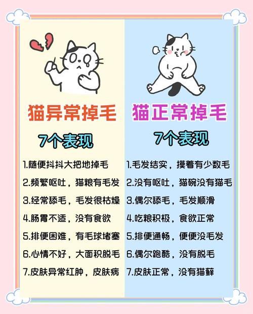 猫掉毛严重怎么解决