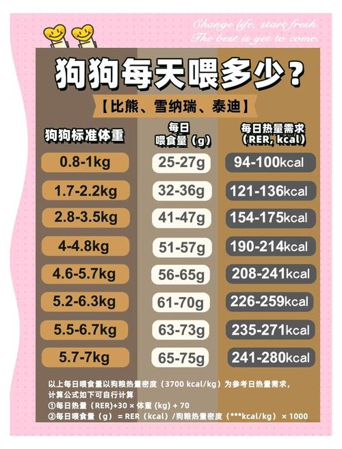 如何让一条狗爱吃狗粮
