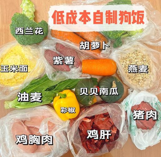 怎么样让狗吃狗粮?