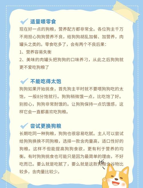 如何让小狗吃狗粮