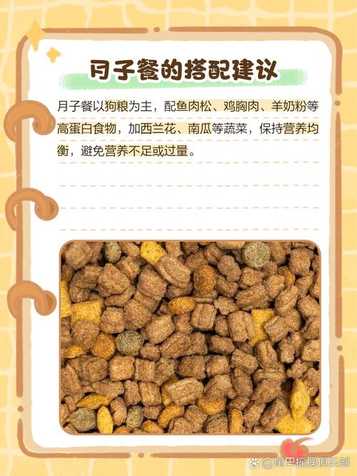 狗狗吃什么下奶最快