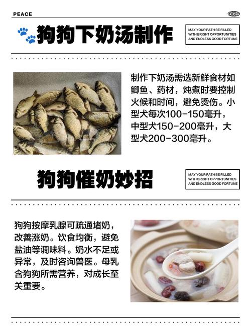 狗狗奶水不足吃什么下奶科学食疗催奶法