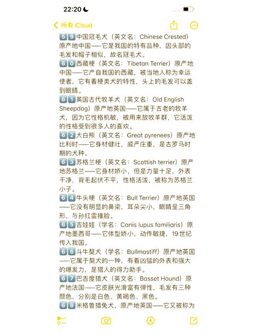 取狗狗名字英文