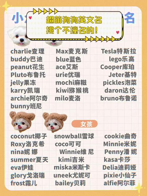 狗狗英文名