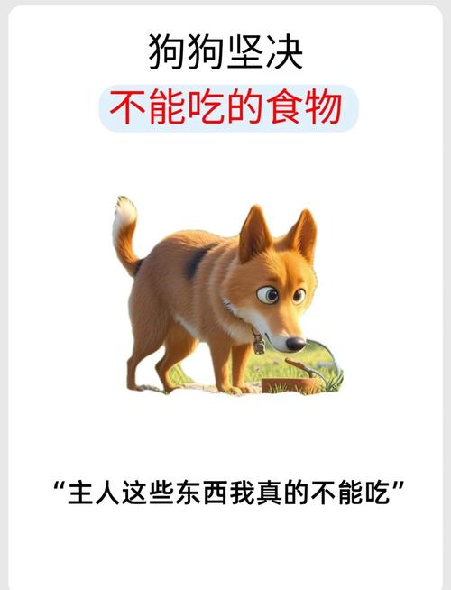 人吃了没事,狗吃了会嗝屁的食物!