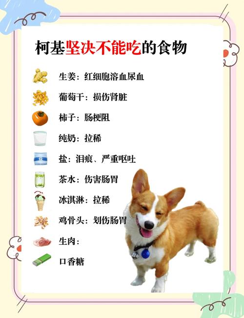 狗狗不能吃的食物