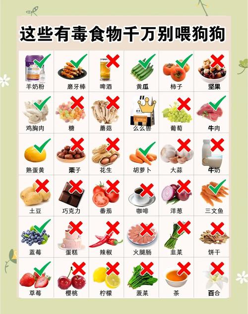 狗狗绝对不能吃的18种食物
