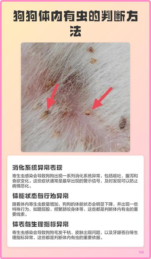 怎么判断狗狗体内有虫