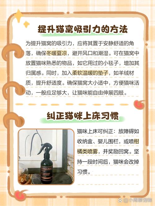 猫咪爱上床不进猫窝怎么办?