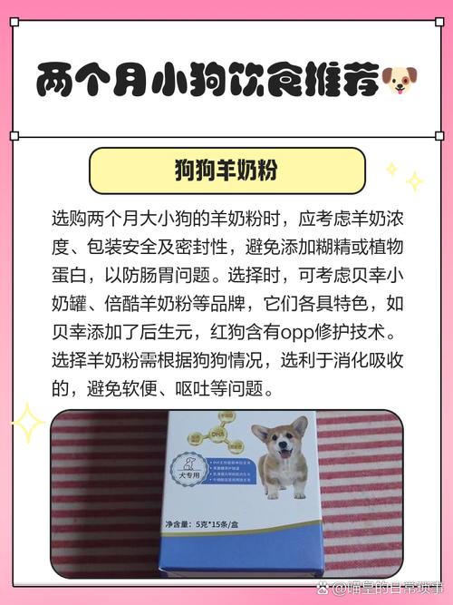两个月大的狗狗适合吃什么呢?(两三个月的小狗吃什么比较好?)
