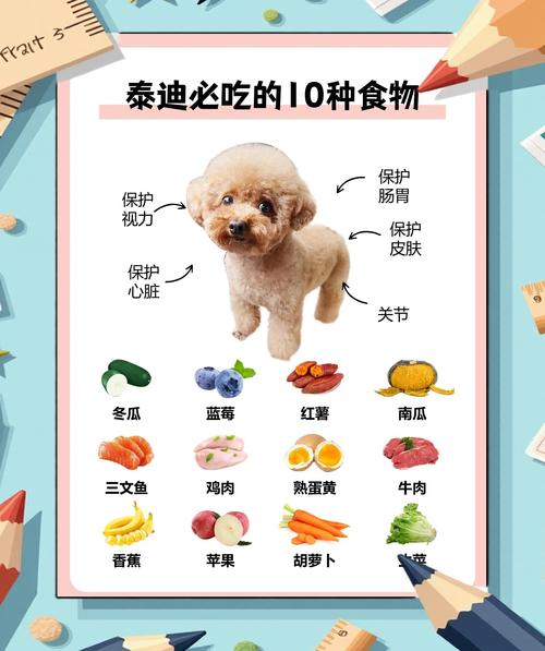 幼犬几个月可以吃蛋黄