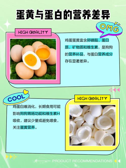 狗狗多大可以吃鸡蛋?