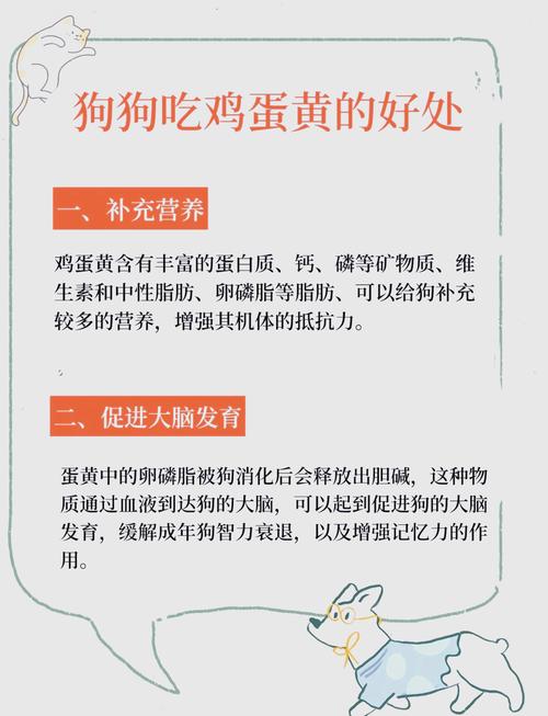 狗狗几个月可以吃蛋黄