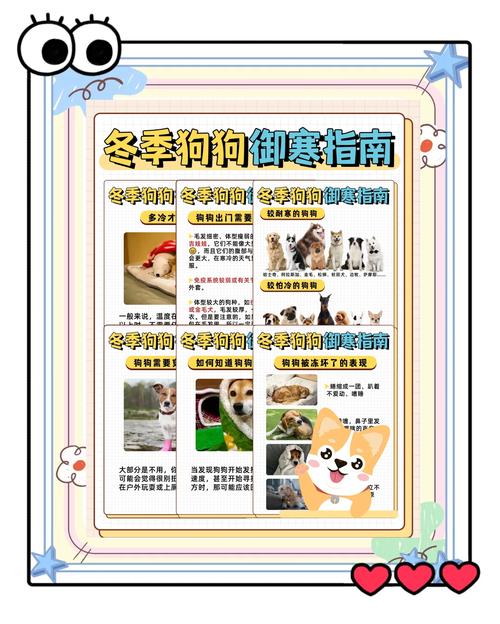 狗狗怕冷吗能承受最低温度是多少