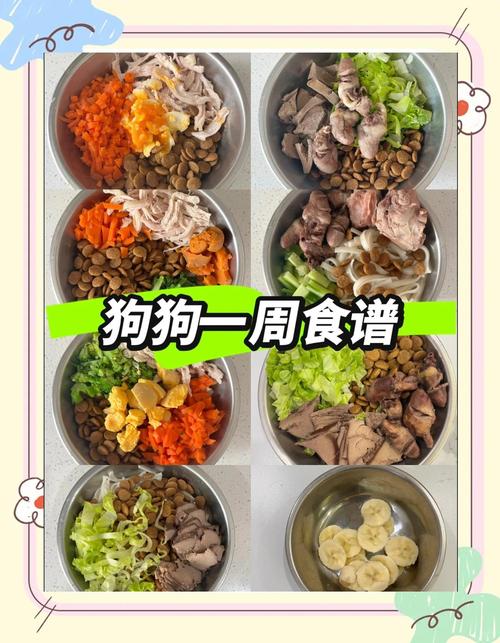 小狗一个月可以吃什么