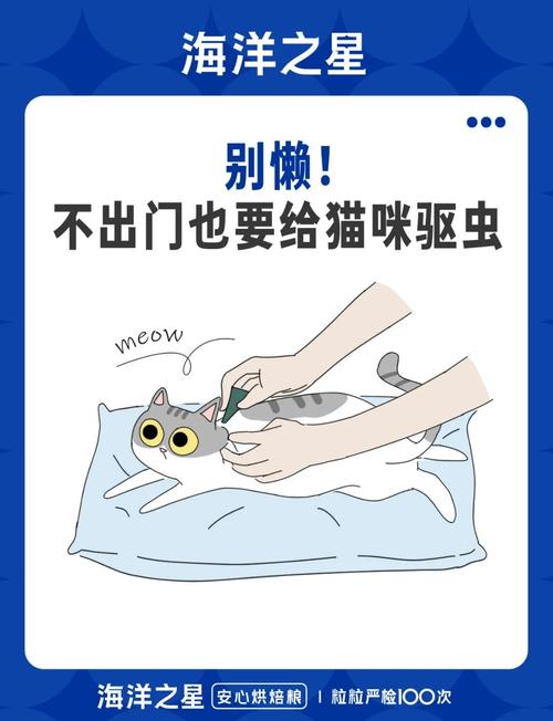 猫咪体内驱虫用什么药好?