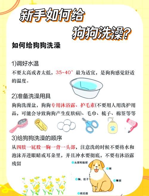 给狗狗洗澡加什么去除跳蚤