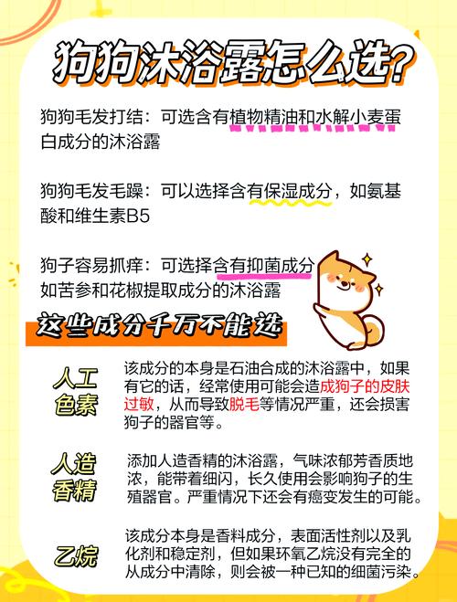 给狗狗洗澡用什么东西?