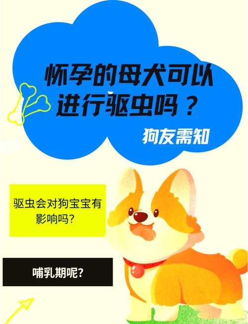 狗狗怀孕了还能用驱虫药么?