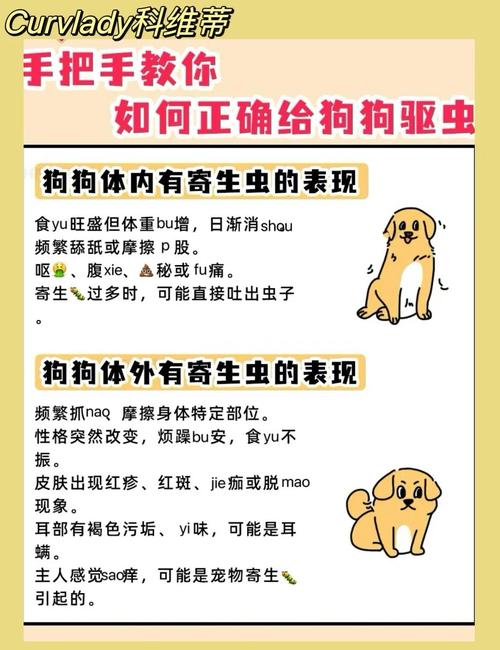 狗怀孕了可以体外驱虫吗