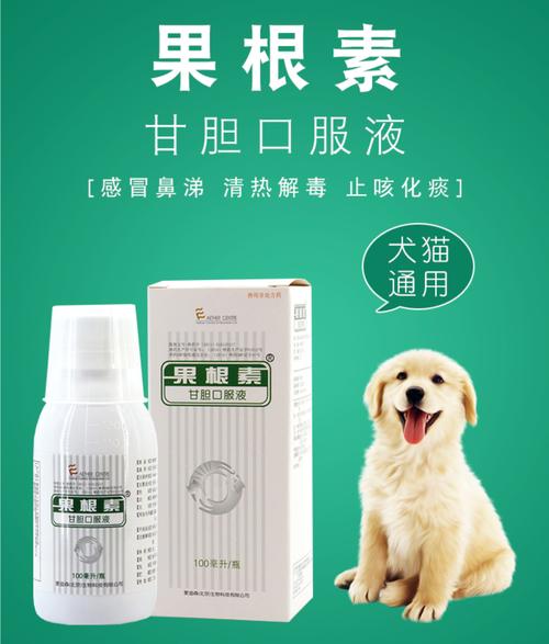 狗狗窝咳时能给它吃什么药啊?