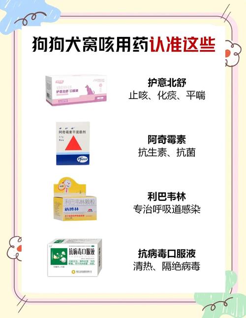 狗可以吃人类哪些消炎药