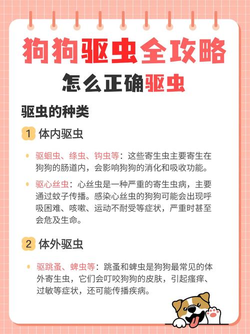 驱虫药狗狗多久一次